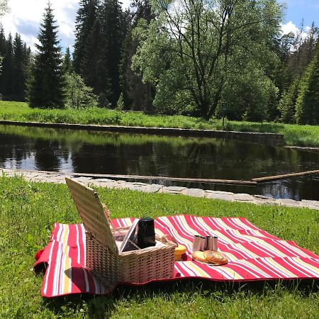 Apartman 12 Stozec Bagian luar foto