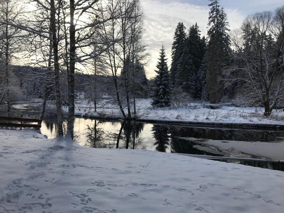 Apartman 12 Stozec Bagian luar foto