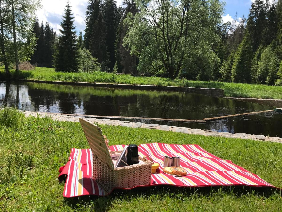 Apartman 12 Stozec Bagian luar foto