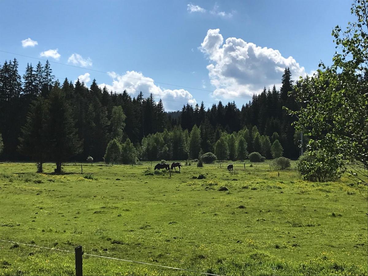 Apartman 12 Stozec Bagian luar foto